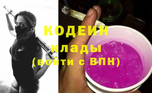 дурь Алзамай