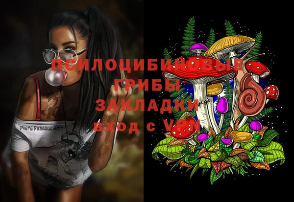 соль ск Абдулино