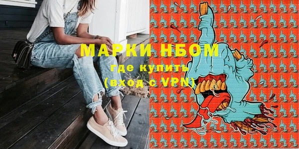хмурый Абаза