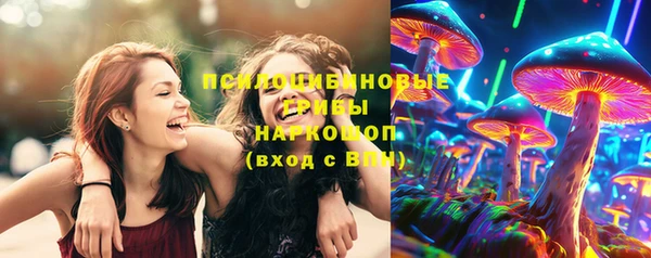 spice Алексин
