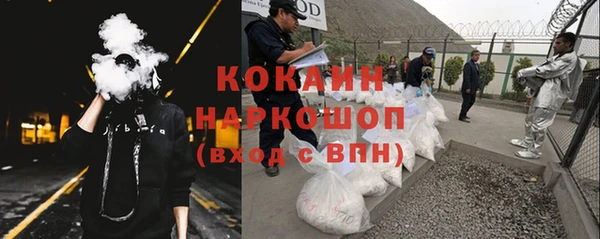 дурь Алзамай