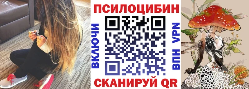 Галлюциногенные грибы мицелий Устюжна