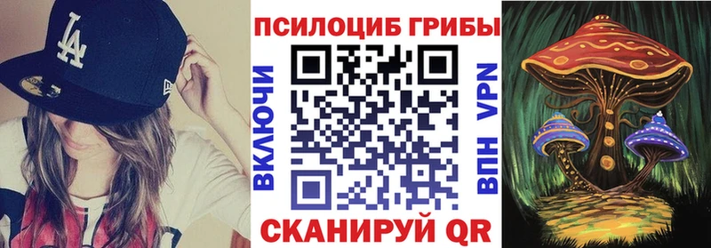 Псилоцибиновые грибы мухоморы  Устюжна 